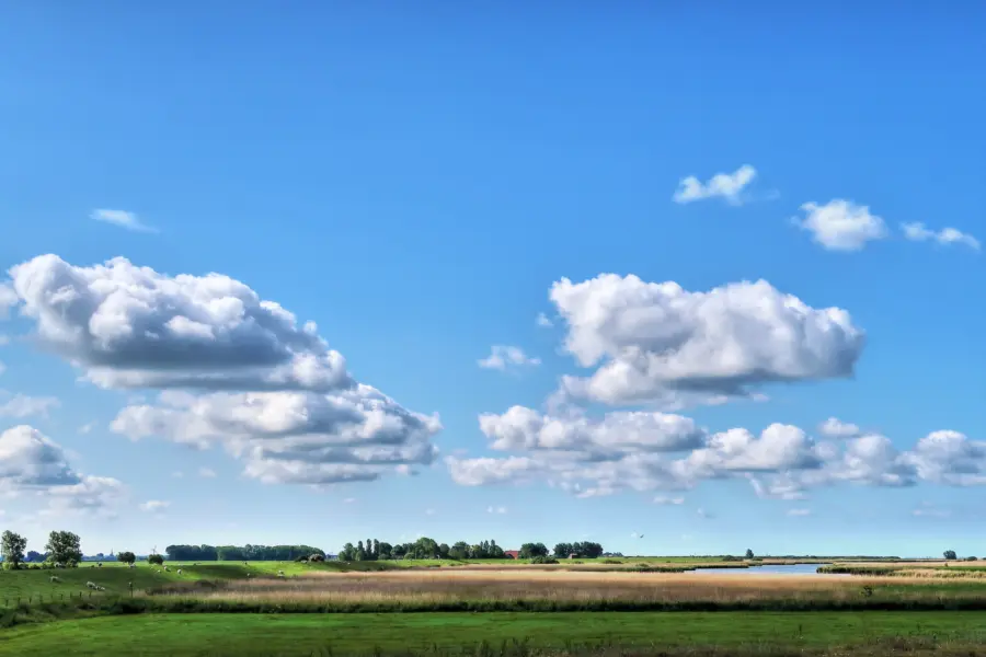 Friesland platteland natuur